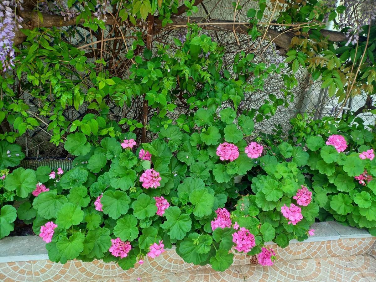 Peaceful House Near Airport Villa Pikermion ภายนอก รูปภาพ