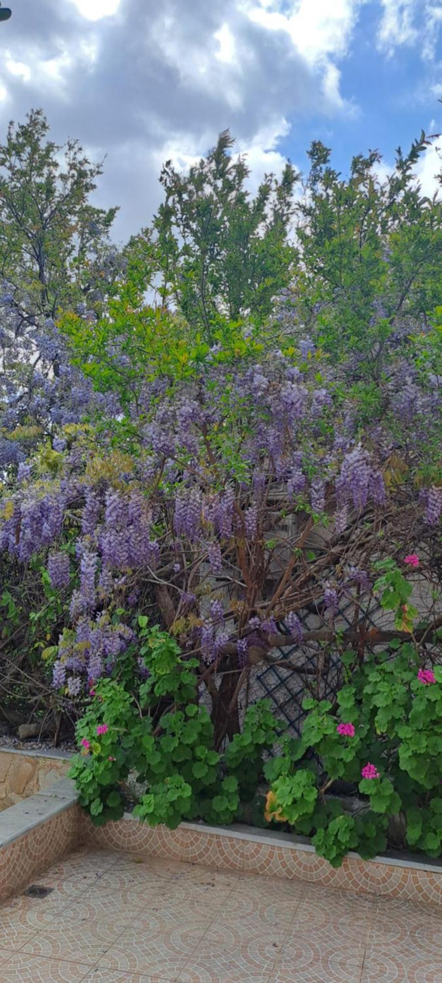 Peaceful House Near Airport Villa Pikermion ภายนอก รูปภาพ